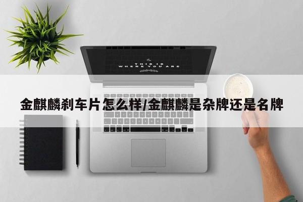 金麒麟刹车片怎么样/金麒麟是杂牌还是名牌