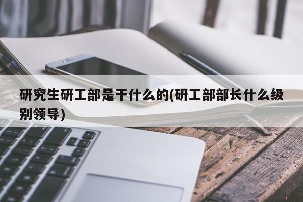 研究生研工部是干什么的(研工部部长什么级别领导)