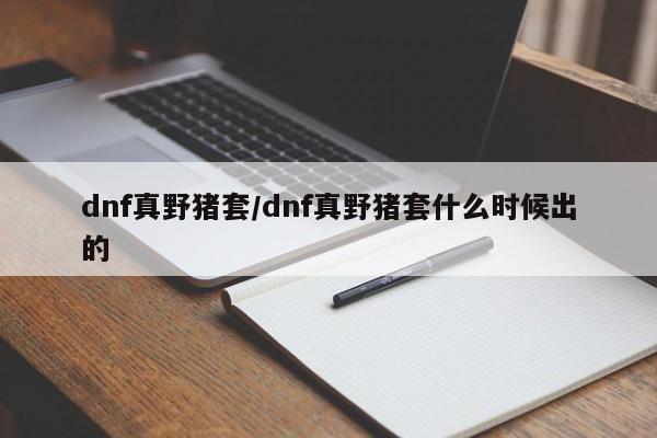dnf真野猪套/dnf真野猪套什么时候出的
