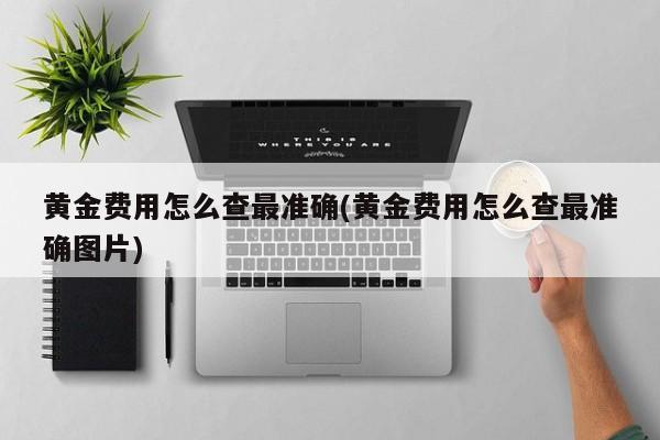 黄金费用怎么查最准确(黄金费用怎么查最准确图片)