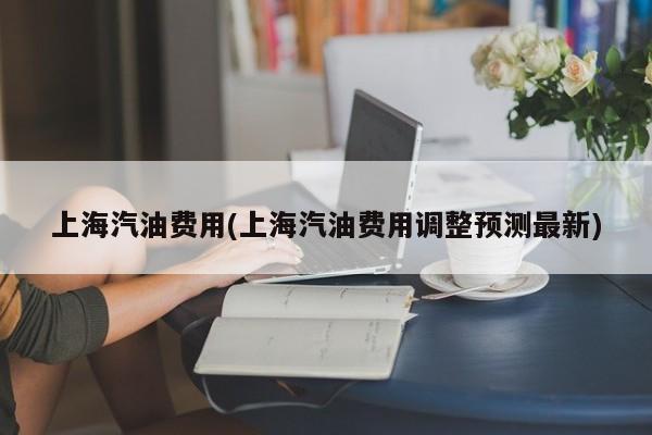 上海汽油费用(上海汽油费用调整预测最新)