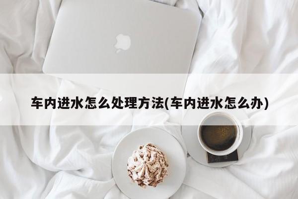 车内进水怎么处理方法(车内进水怎么办)