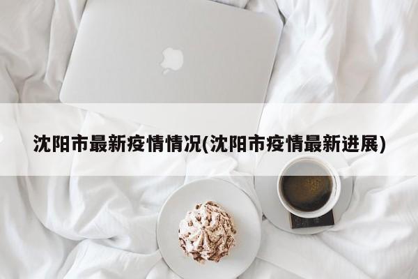 沈阳市最新疫情情况(沈阳市疫情最新进展)