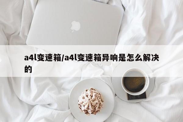 a4l变速箱/a4l变速箱异响是怎么解决的