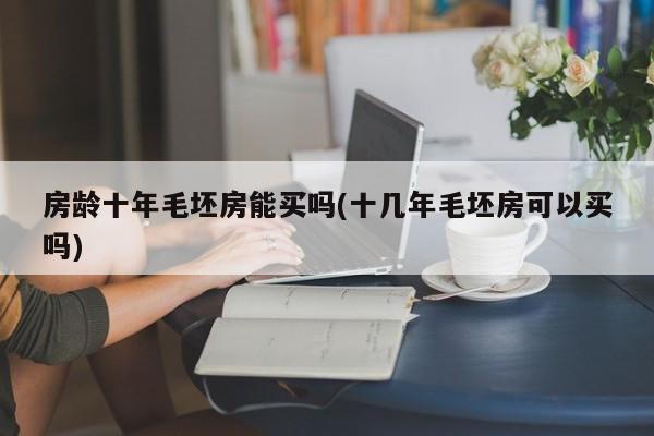 房龄十年毛坯房能买吗(十几年毛坯房可以买吗)