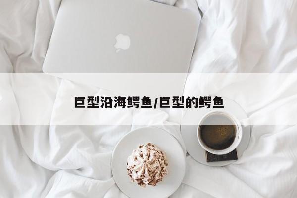 巨型沿海鳄鱼/巨型的鳄鱼