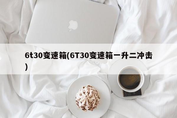 6t30变速箱(6T30变速箱一升二冲击)