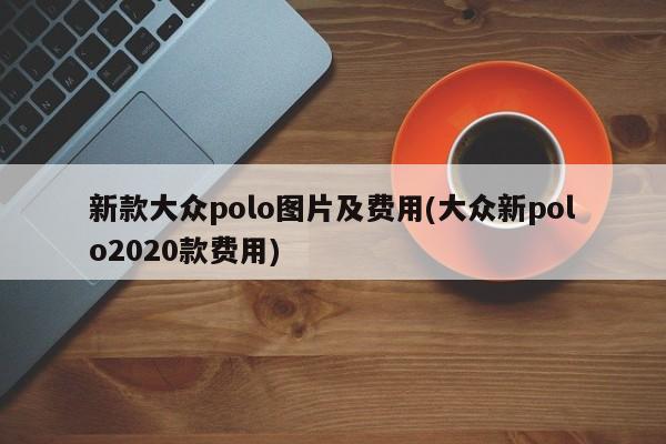 新款大众polo图片及费用(大众新polo2020款费用)