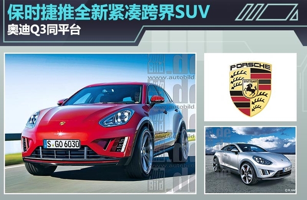 如何在选择相关产品或服务时做出合理判断？这种判断有哪些依据？