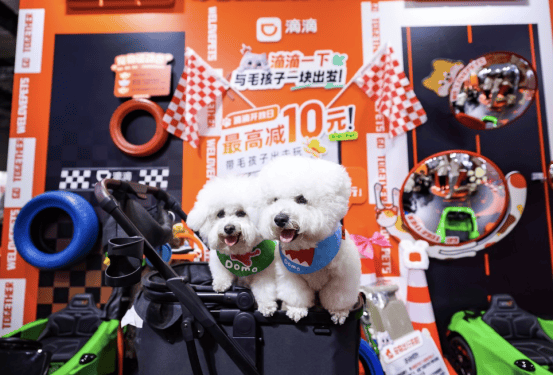 滴滴宠物出行：已有近200万只宠物完成档案注册 犬类占比超六成