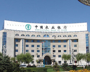 如何利用银行提供的市场信息优化投资决策？